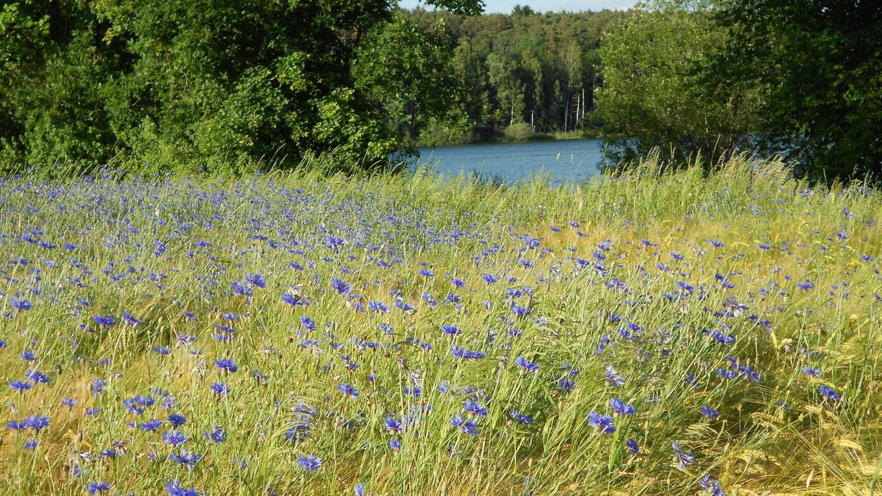 Photo of Outdoor in Absberg