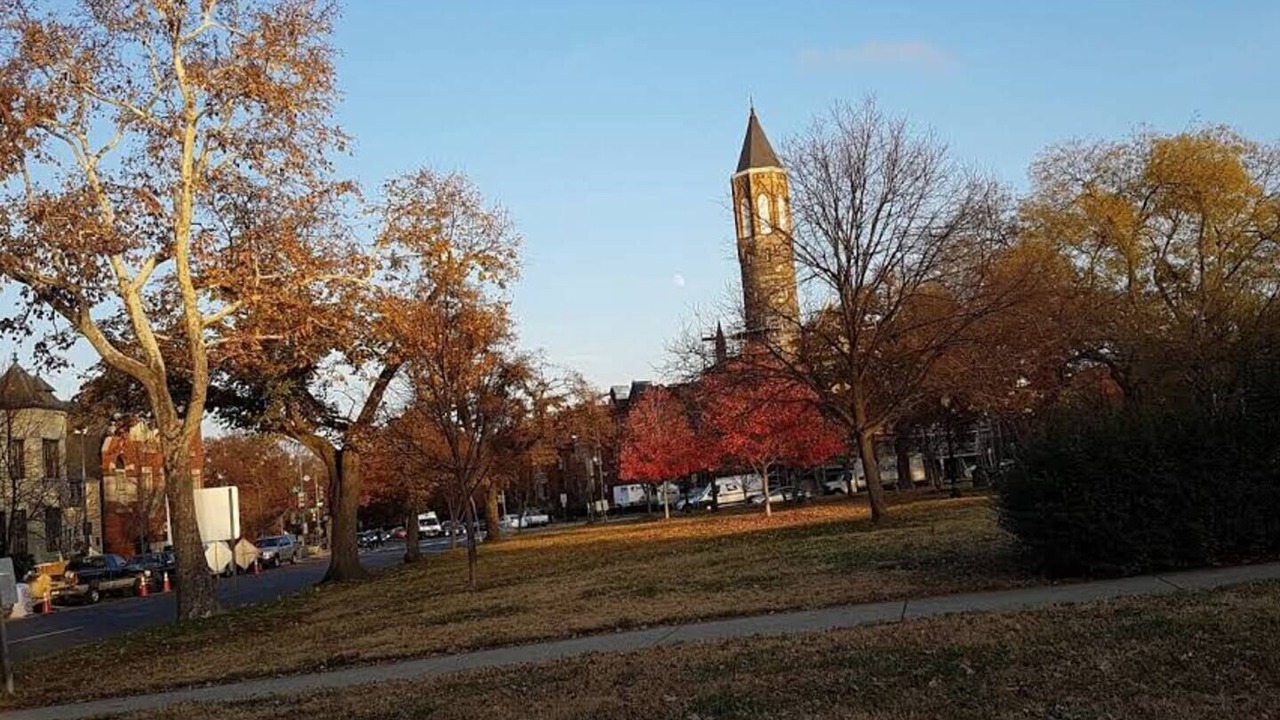 Photo of Others in Stanton Park