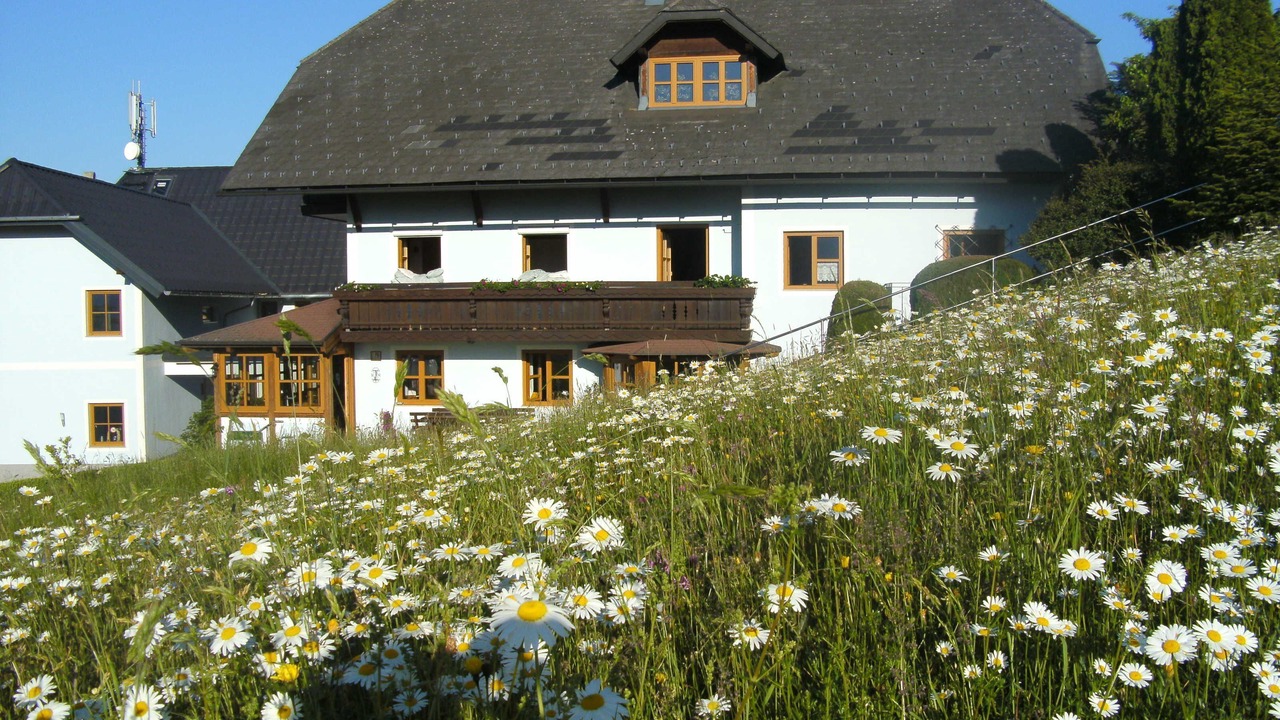 Photo of Outdoor in Altmuenster