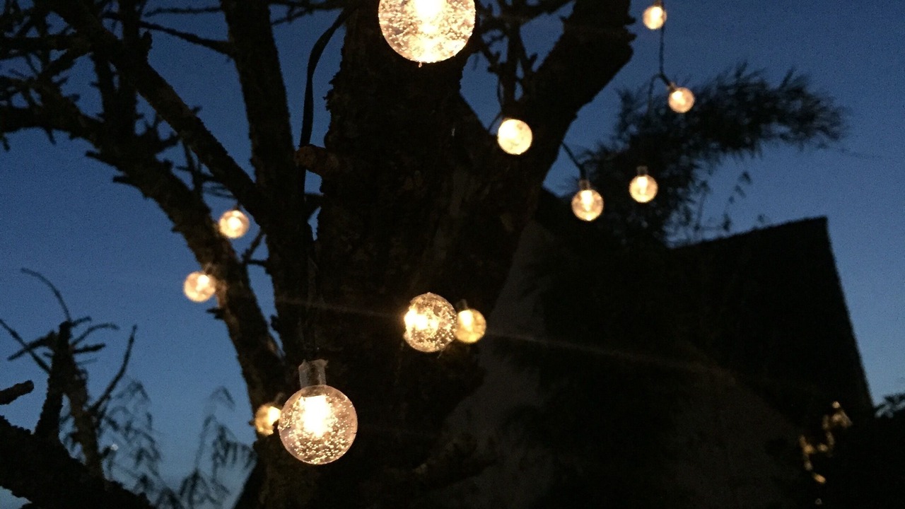 Photo of Outdoor in Phuong