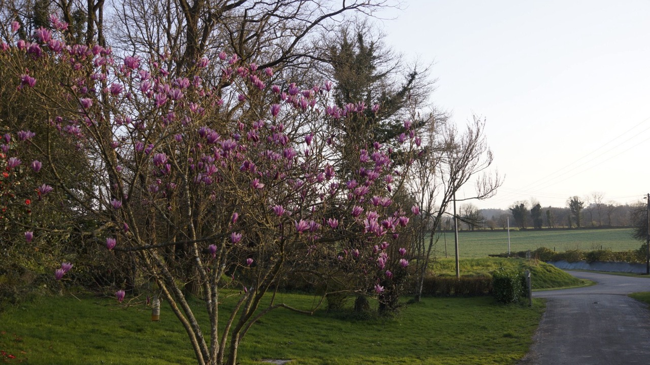 Photo of Outdoor in Mellionnec