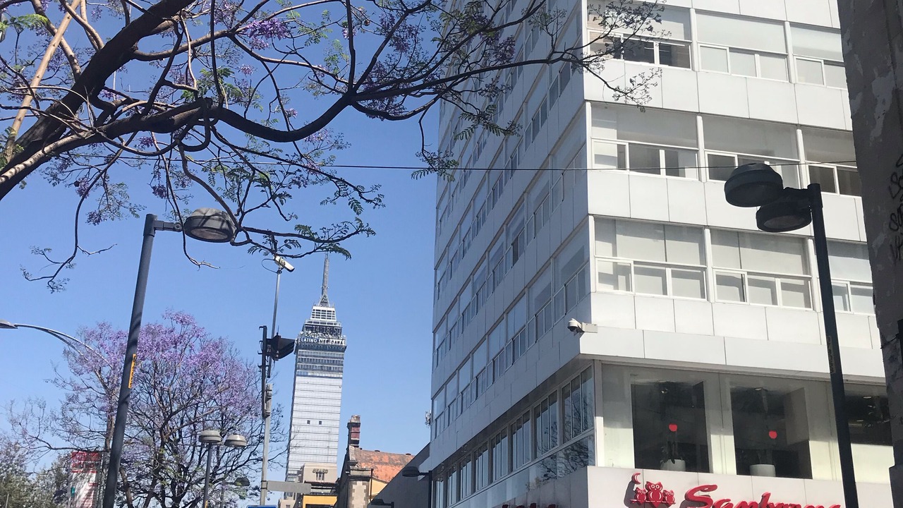 Photo of Outdoor in Colonia Centro