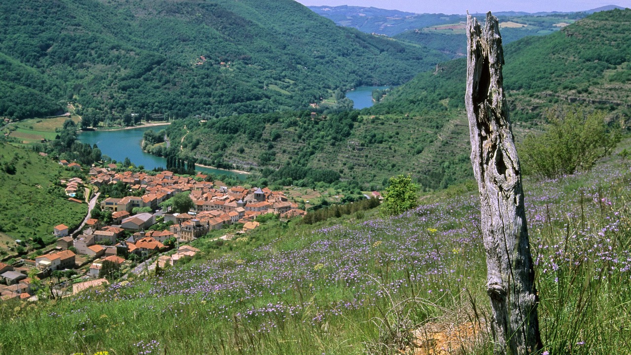 Photo of Outdoor in Saint-Rome-de-Tarn
