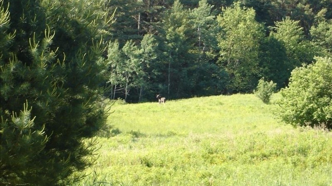 Photo of Others in Rawsonville