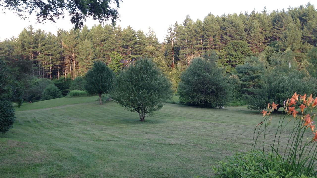 Photo of Others in Rawsonville