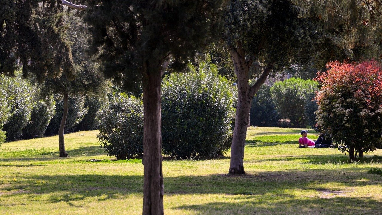 Photo of Outdoor in Palaio Faliro