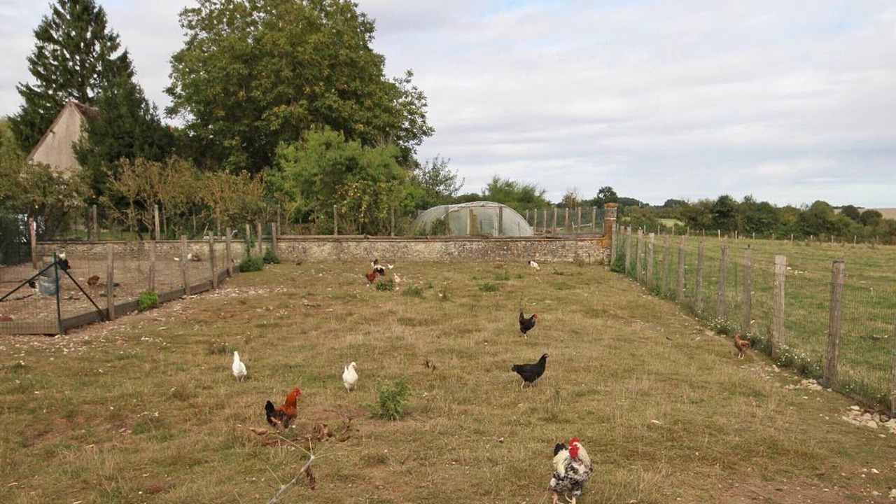 Photo of Outdoor in La Chapelle-Souef