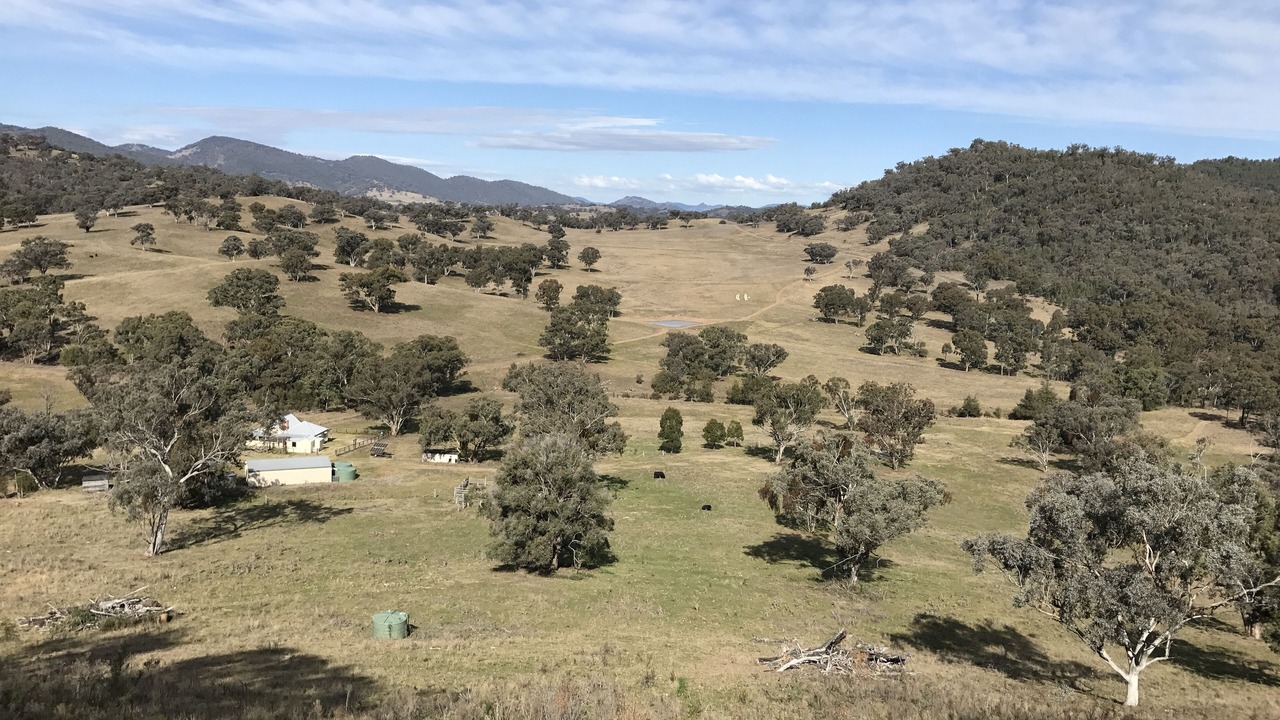 Photo of Others in Quipolly