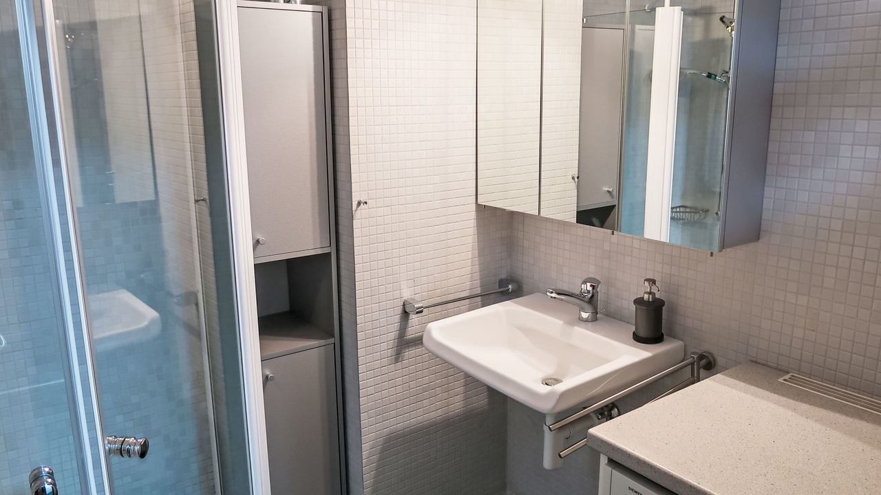 Photo of Bathroom in Segnas