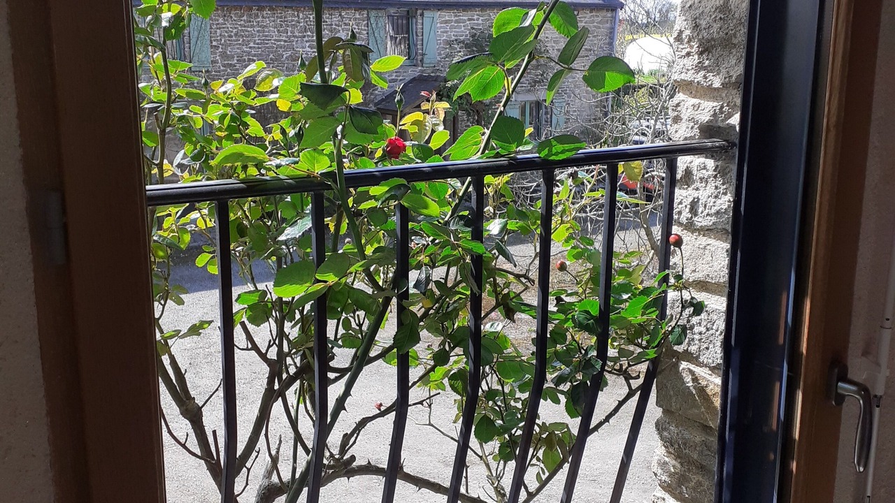 Photo of Outdoor in Melgven
