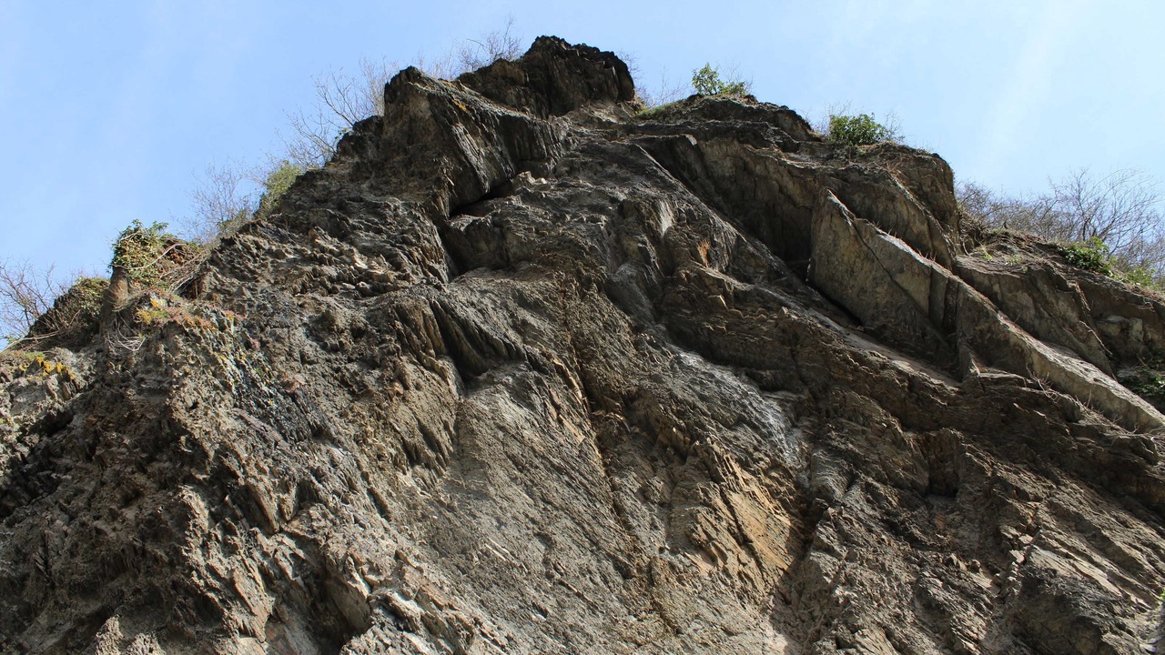 Photo of Others in Bad Ems