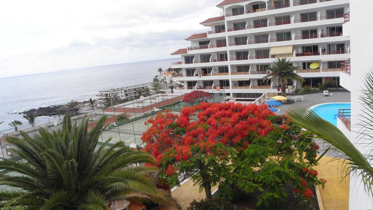 Photo of Outdoor in Puerto de Santiago