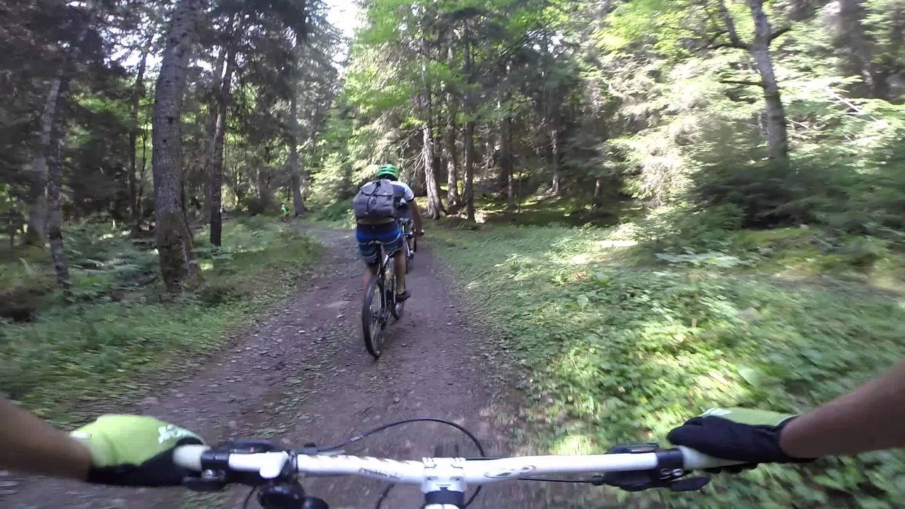 Photo of Others in Borjomi