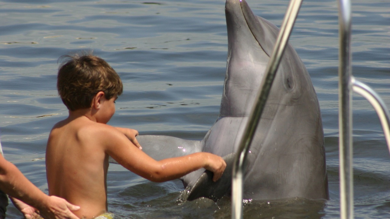 Photo of Others in Key Colony Beach