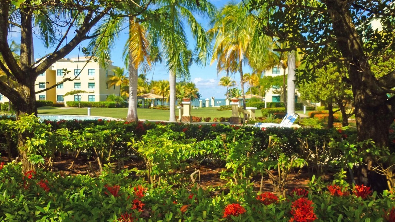 Photo of Outdoor in Mediania Alta