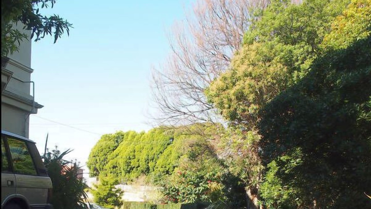 Photo of Outdoor in South Hobart
