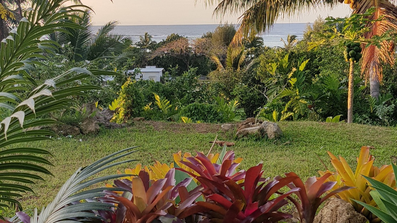 Photo of Outdoor in Tapere of Vaimaanga