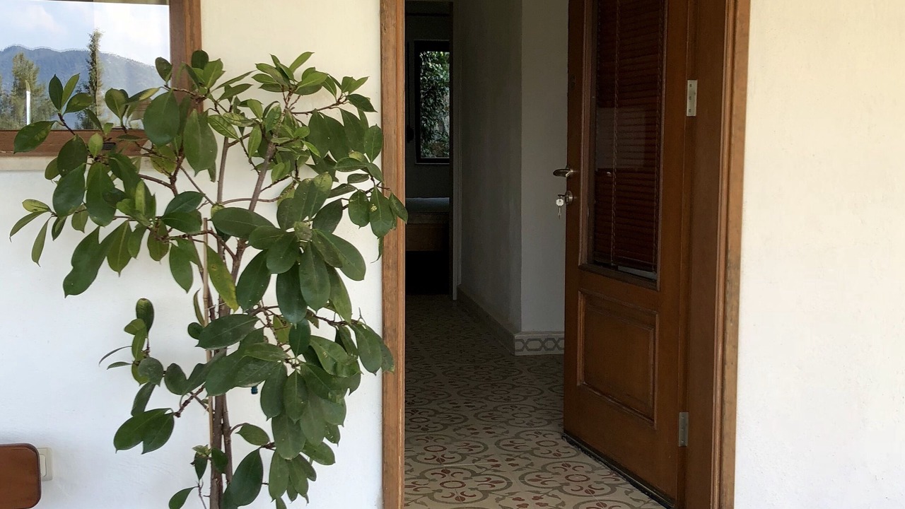 Photo of Outdoor in Selimiye