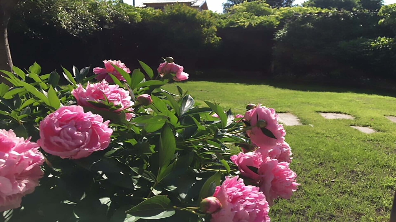 Photo of Outdoor in Pallanza