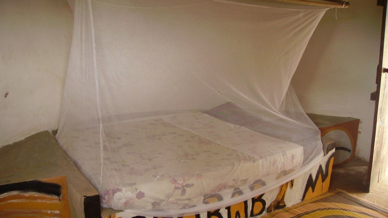 Photo of Bedroom in Banfora