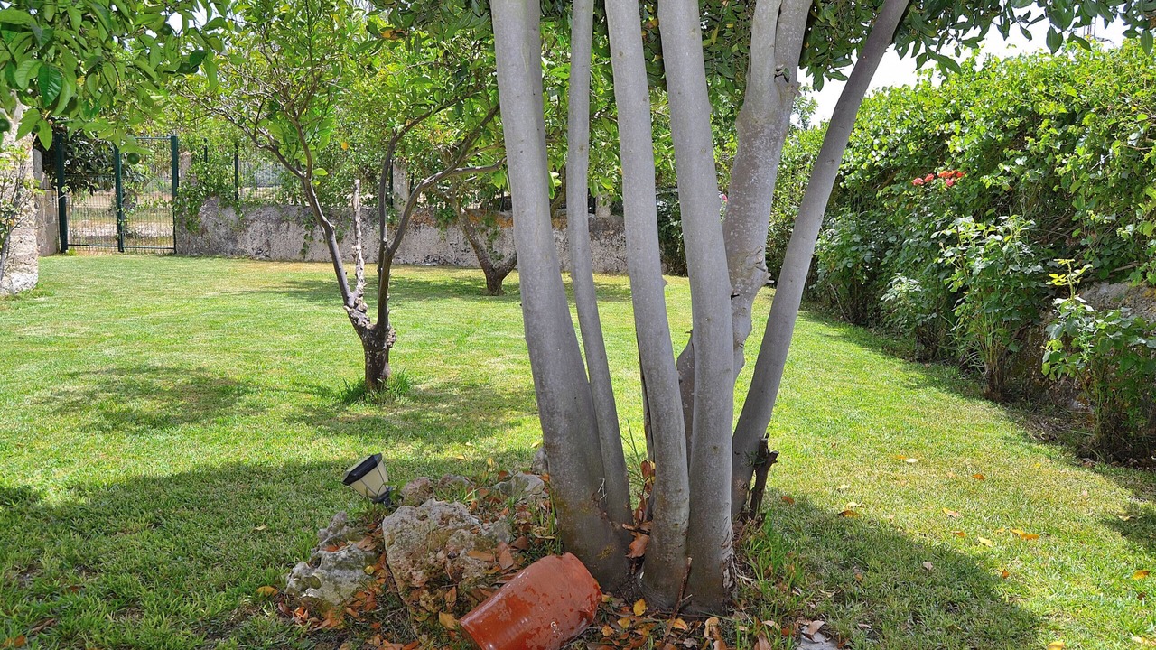 Photo of Outdoor in Lloret de Vistalegre