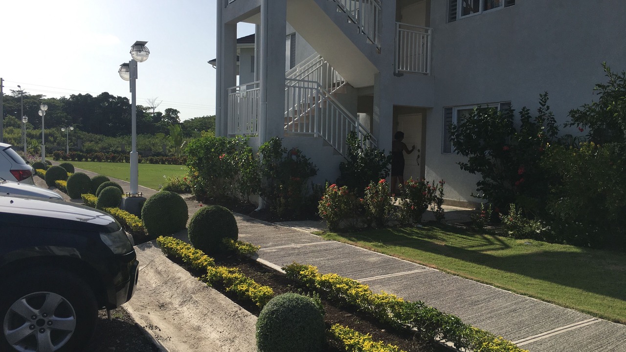 Photo of Outdoor in St. Ann's Bay