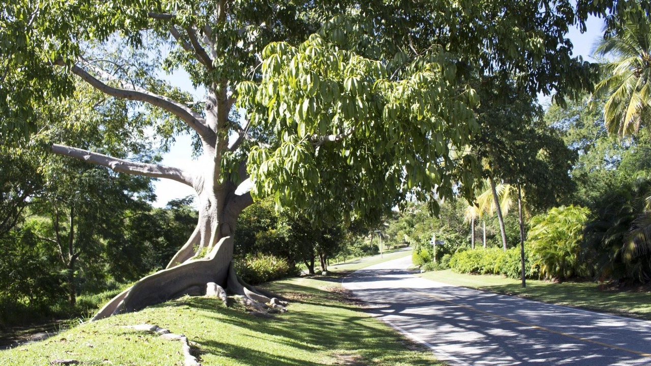 Photo of Outdoor in Candelero Abajo