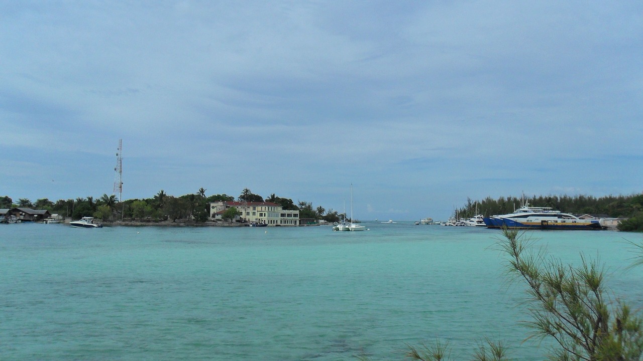 Photo of Others in Andros Town