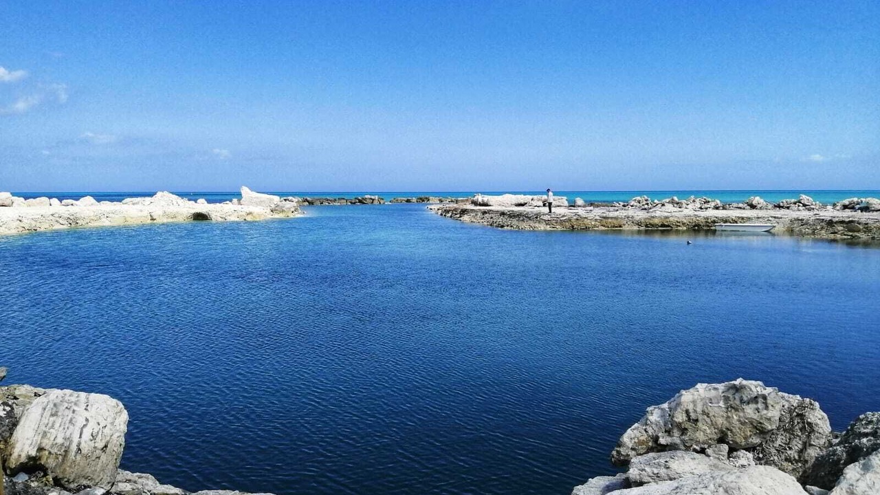 Photo of Others in Andros Town