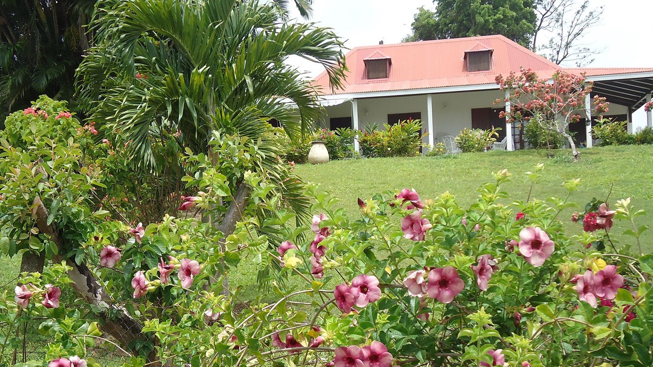 Photo of Outdoor in Petit-Bourg