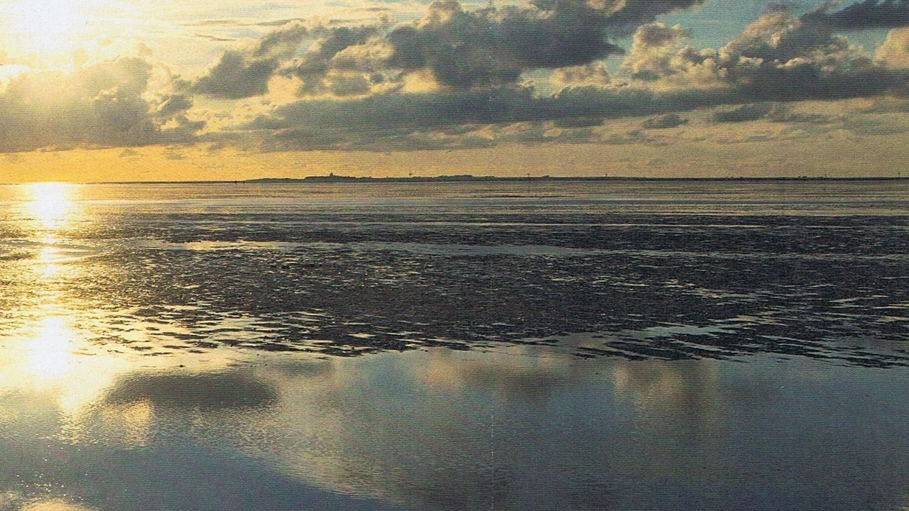 Photo of Others in Borkum