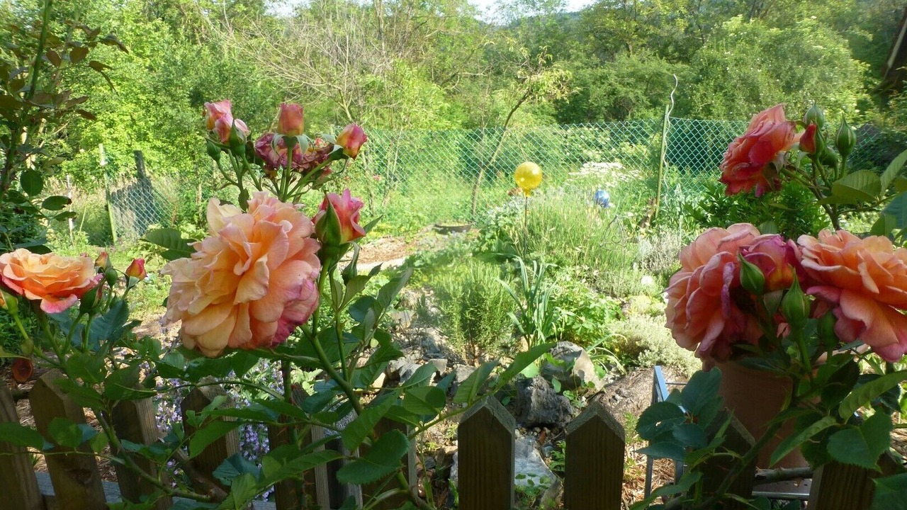 Photo of Outdoor in Harrachberg