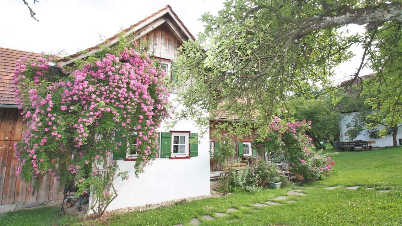 Photo of Outdoor in Harrachberg