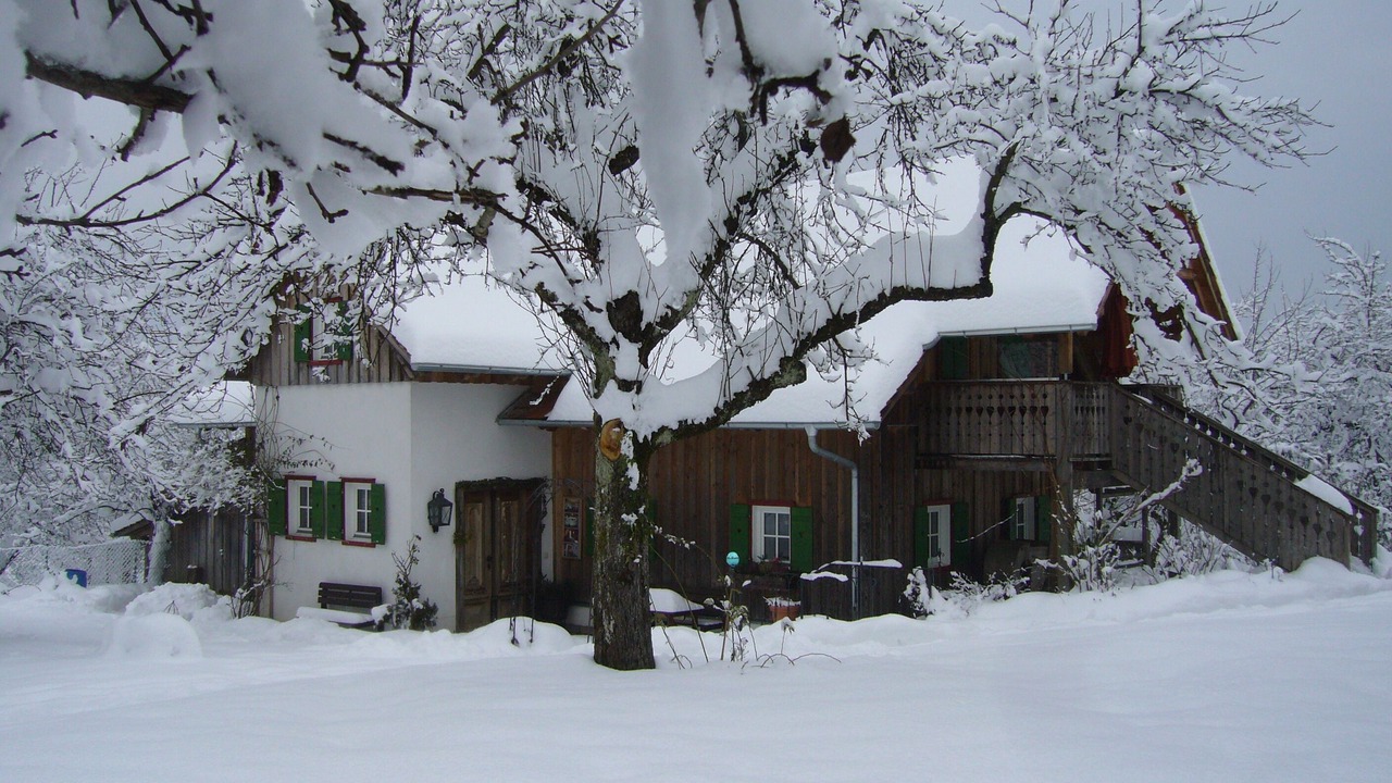 Photo of Outdoor in Harrachberg