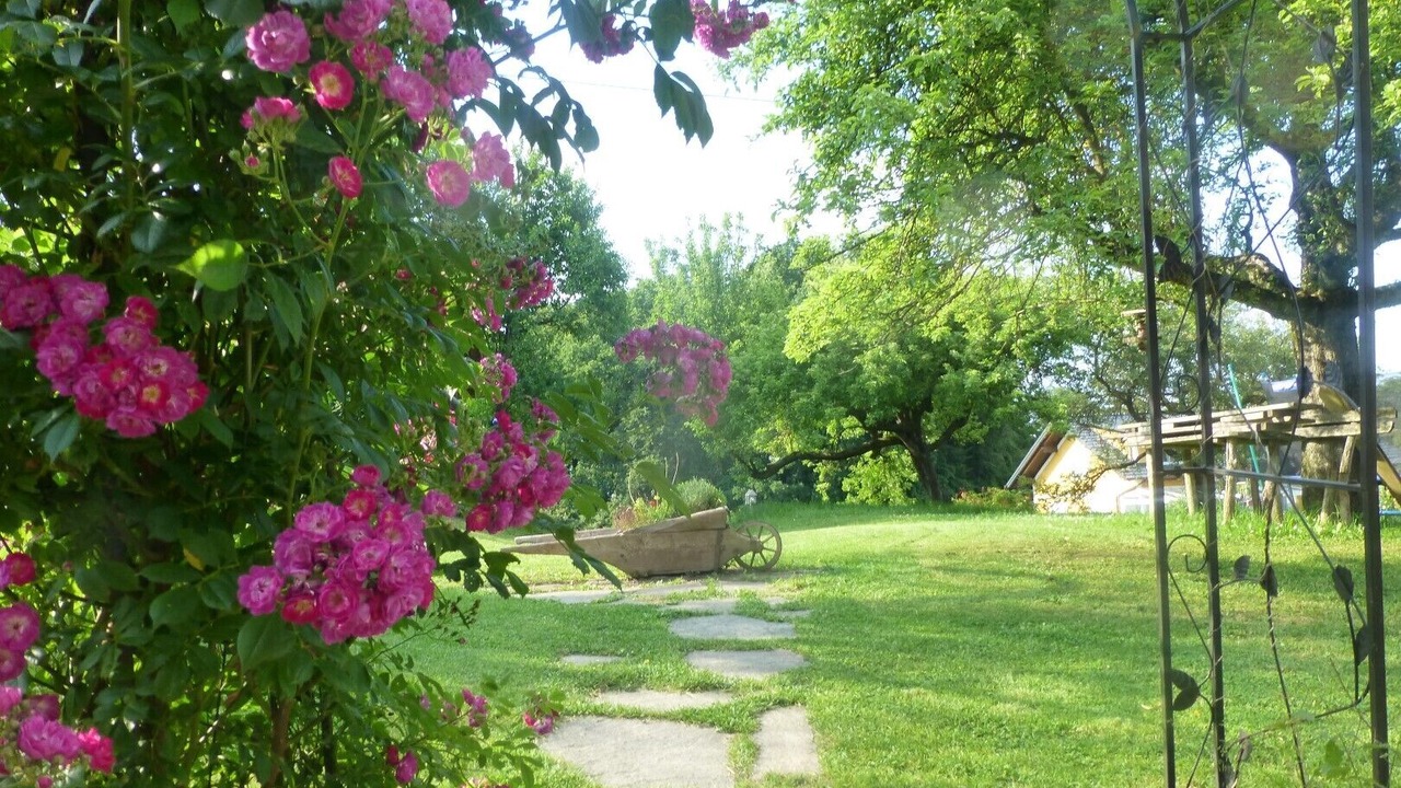 Photo of Outdoor in Harrachberg