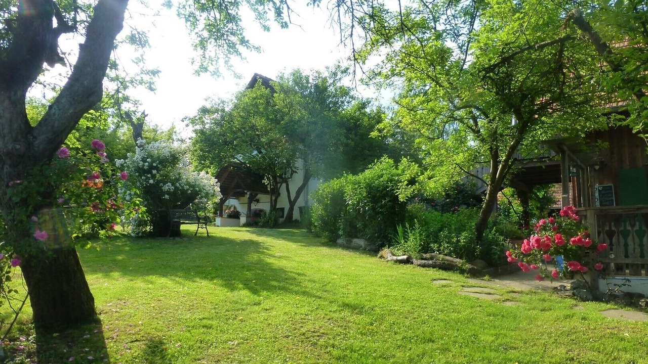 Photo of Outdoor in Harrachberg