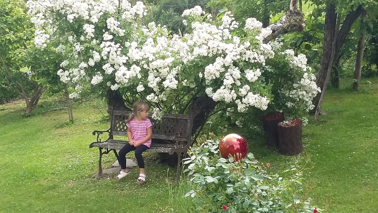 Photo of Outdoor in Harrachberg