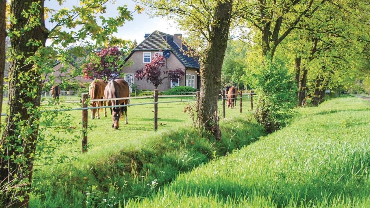 Photo of Others in Leende