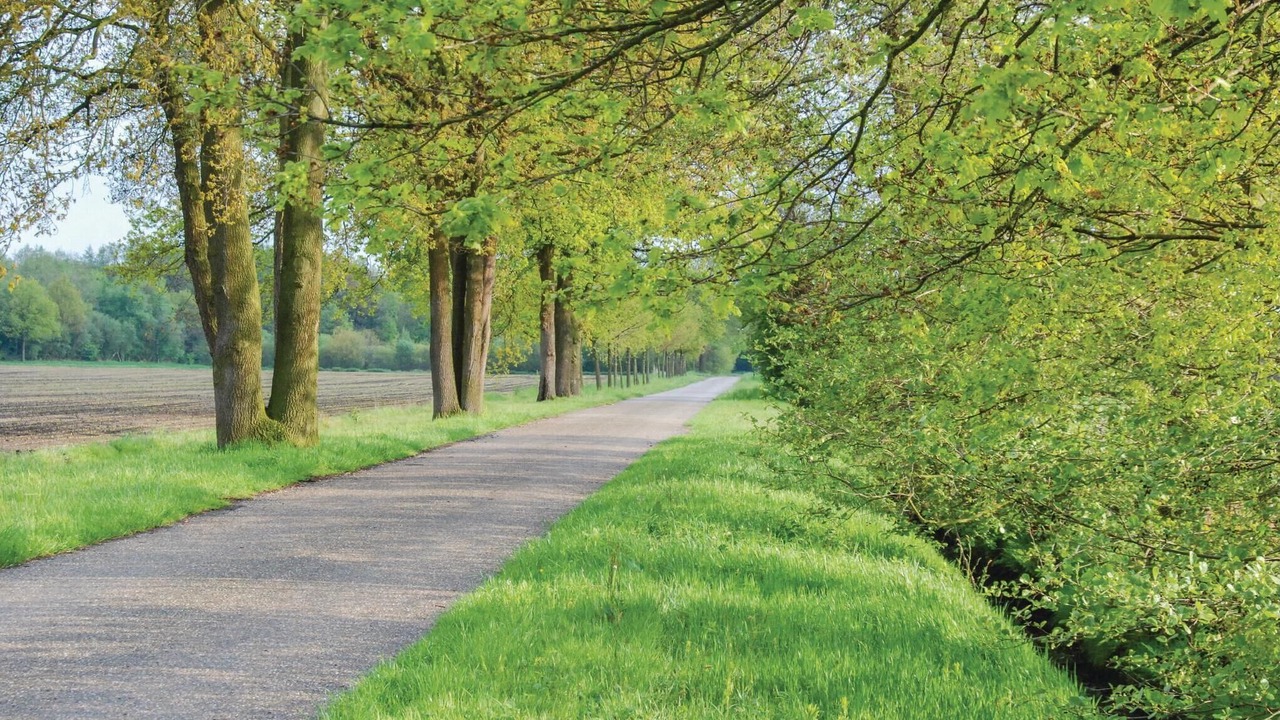 Photo of Others in Leende