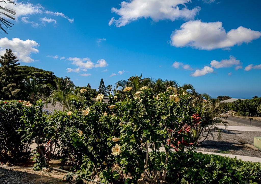 Photo of Outdoor in Waikoloa