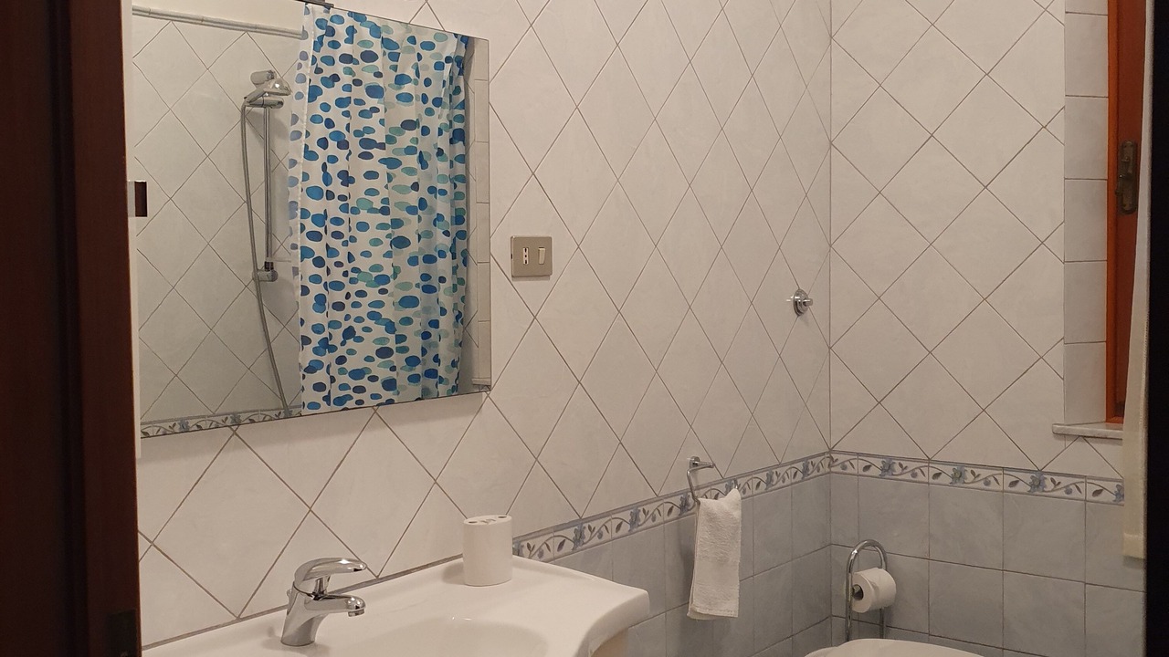 Photo of Bathroom in Arena Metato