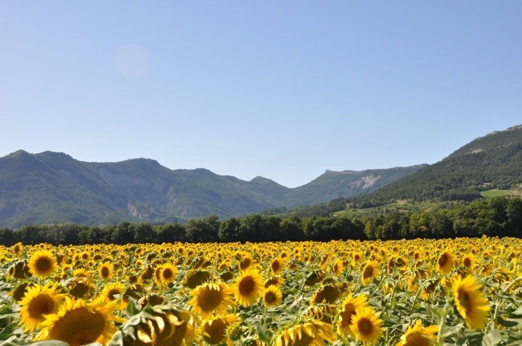 Photo of Outdoor in Divajeu