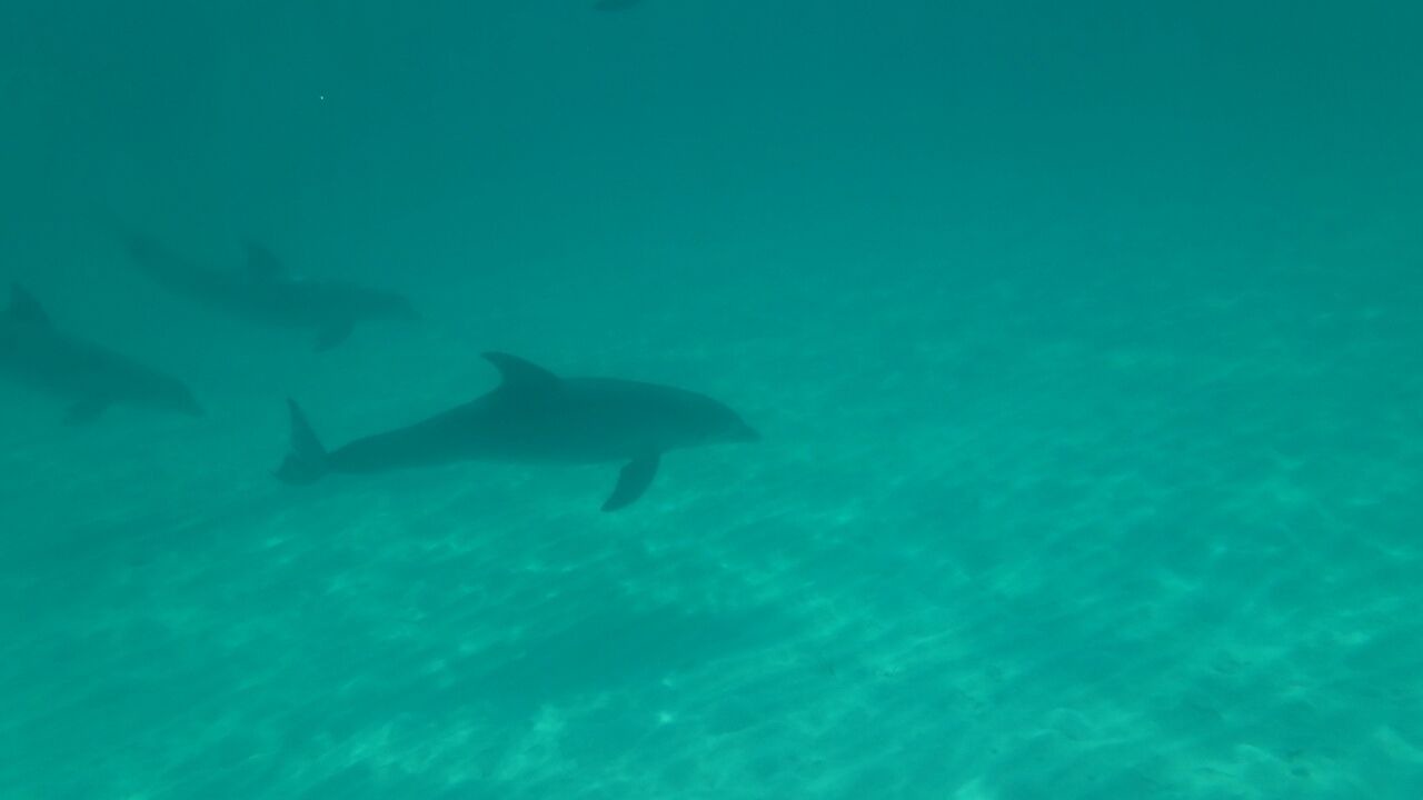 Photo of Others in Great Harbour Cay