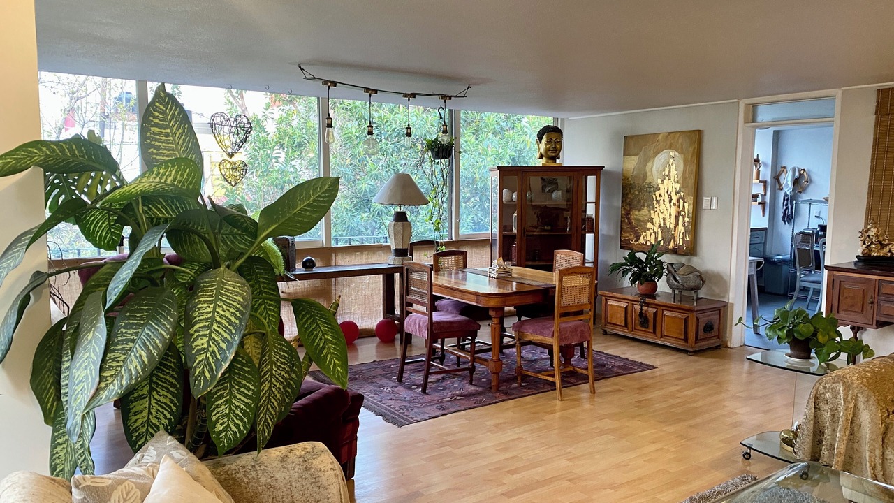 Photo of Livingroom in La Condesa