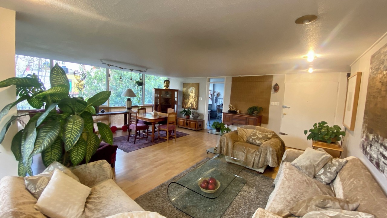 Photo of Livingroom in La Condesa