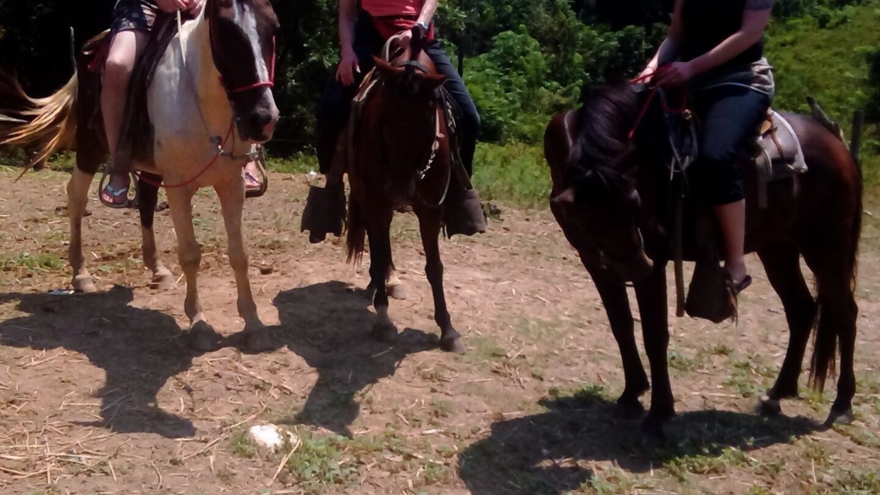 Photo of Others in Jonesville