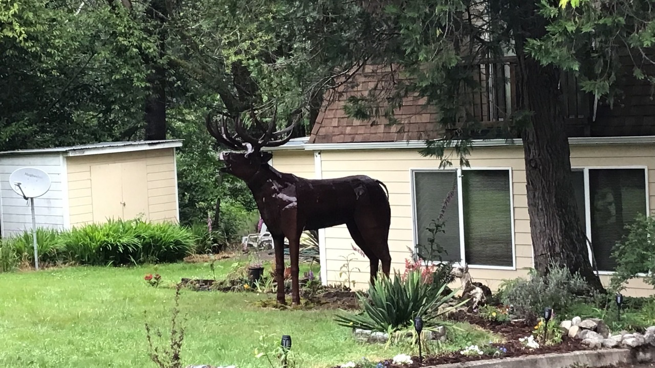 Photo of Outdoor in Port Orford