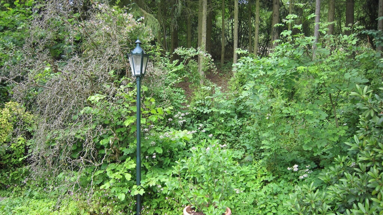 Photo of Outdoor in Strotzbusch