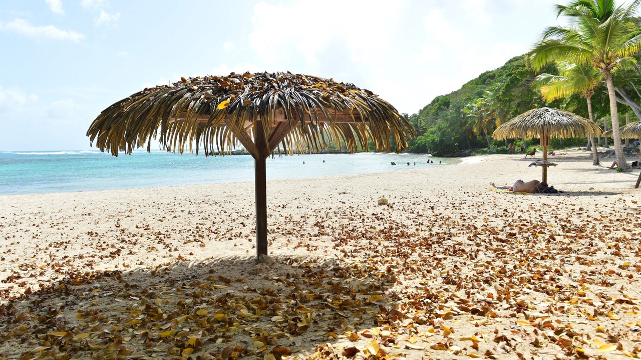 Photo of Others in Anse des Rochers