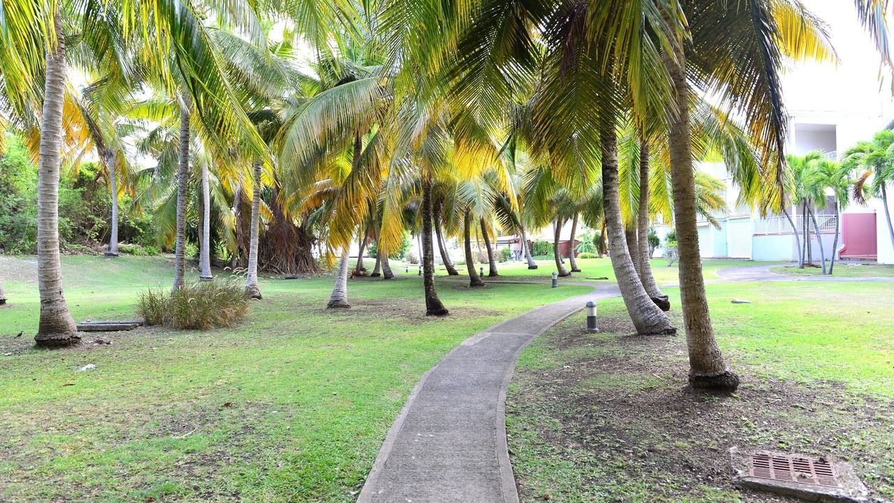 Photo of Outdoor in Anse des Rochers